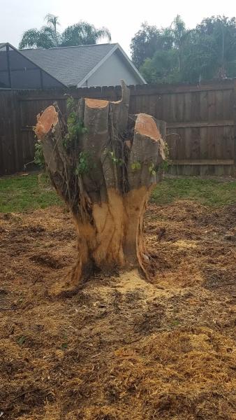 MF Stump Grinding
