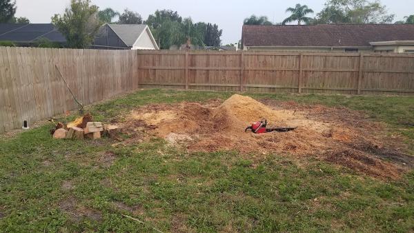 MF Stump Grinding