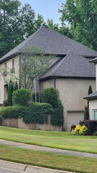 Purple Turtle Roofing
