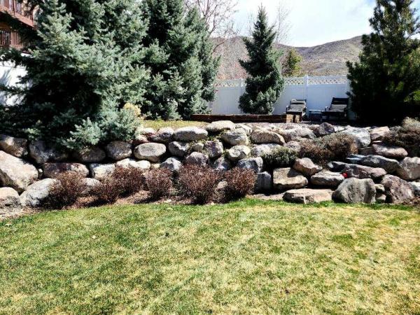 M&t's Lawn and Yard