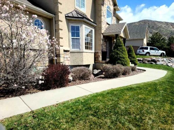 M&t's Lawn and Yard