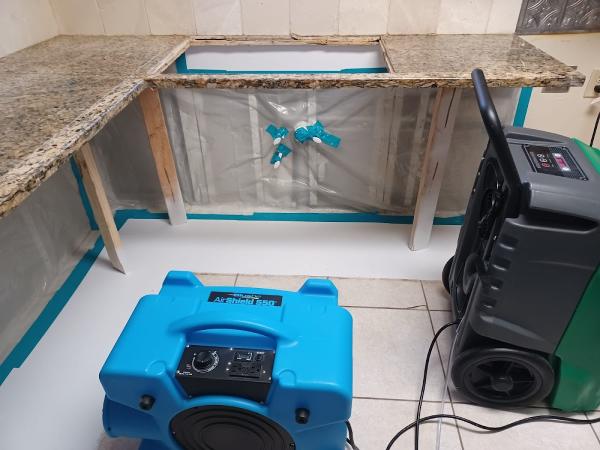 Elite Mold Testing and Assessment