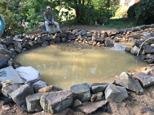 Axel Tree Solutions and Hardscaping