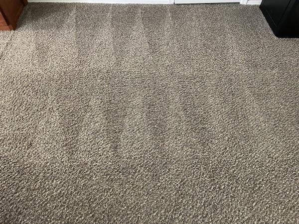 On Point Carpet Cleaning