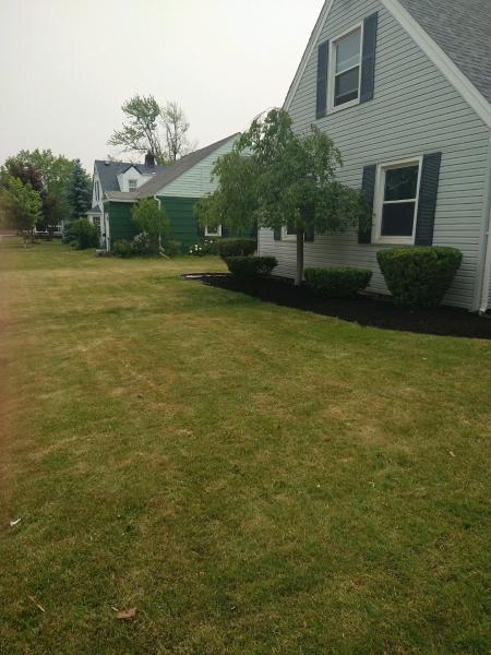 Landscape For Less