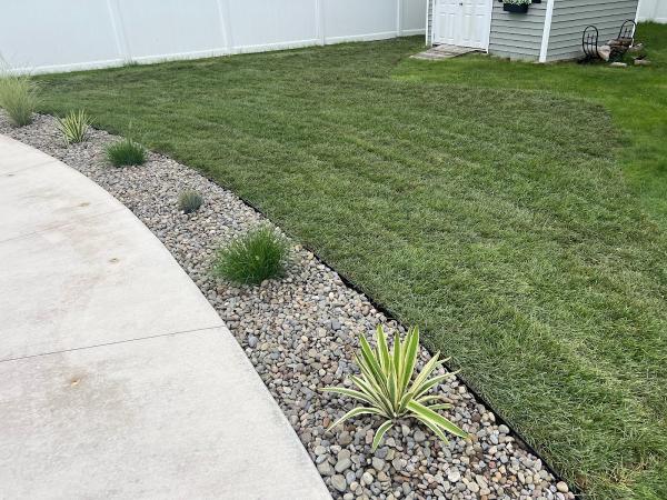 Landscape For Less