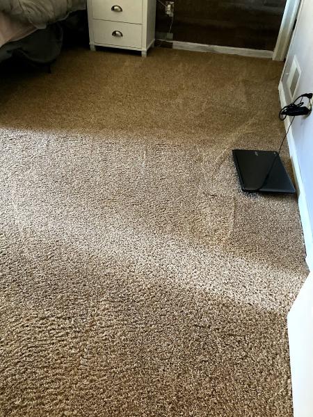 Steamsmith Carpet Cleaning and Janitorial