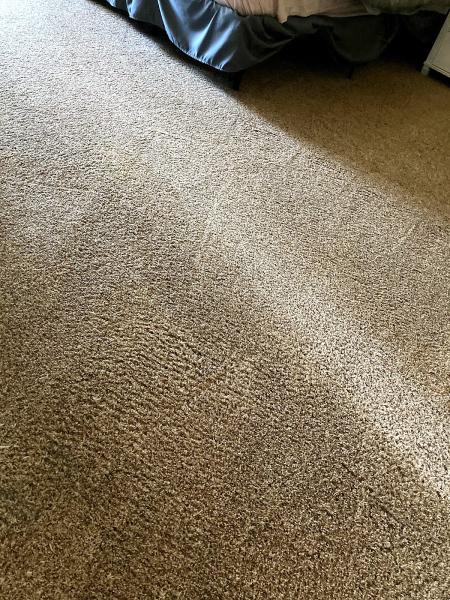 Steamsmith Carpet Cleaning and Janitorial