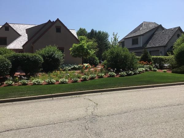Lucas Landscaping and Design Co.