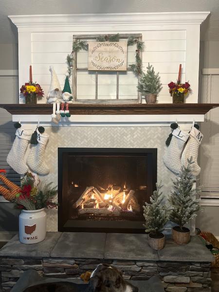 Pro Sweep Chimney Service