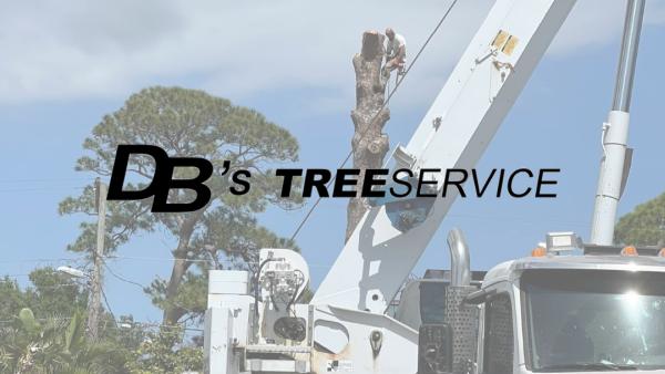 Db's Tree Service