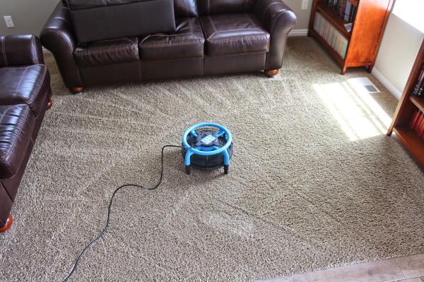Ecocarpet Cleaning Service