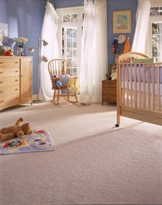 Ecocarpet Cleaning Service