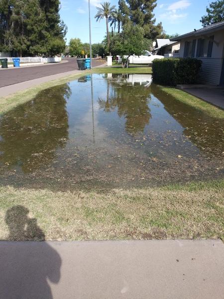 Solutions Irrigation