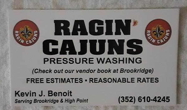 Ragin Cajuns Pressure Washing