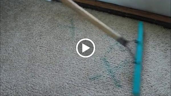 South Lyon Carpet Cleaning