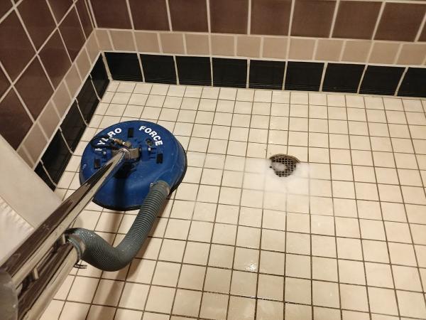 South Lyon Carpet Cleaning