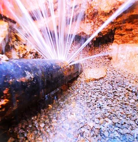 Belier Water Damage