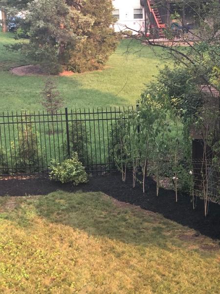Picture Perfect Landscaping