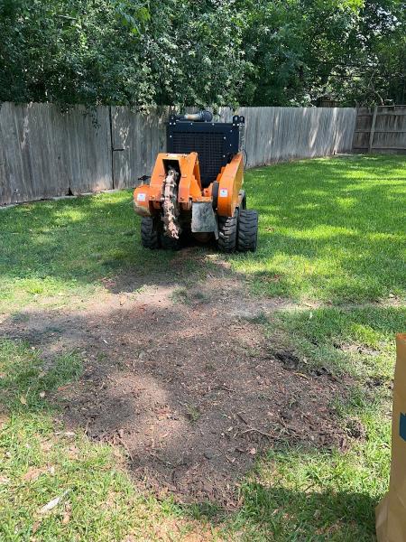 Lumberjack Tree Service