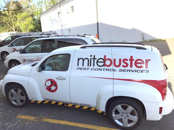 Mitebuster Bedbug & Pest Control