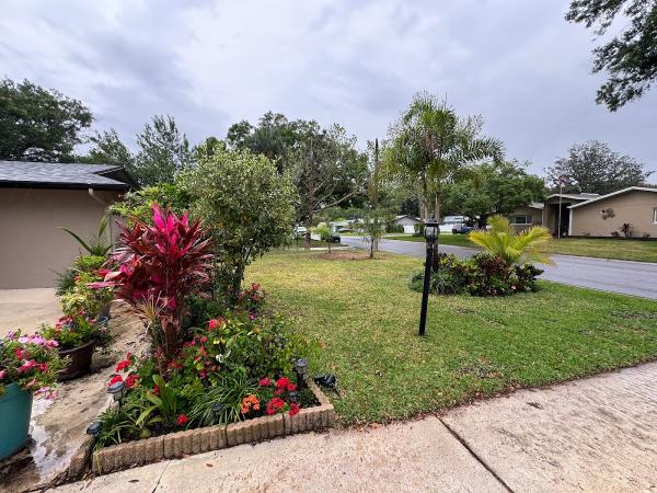 Top Shelf Tree Service & Landscaping