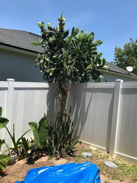 Williams Lawn Care