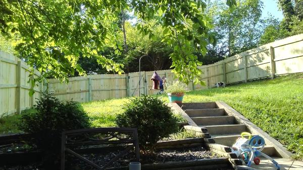 Backyard Renovations