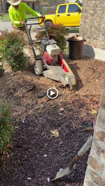 JEJ Tree Service