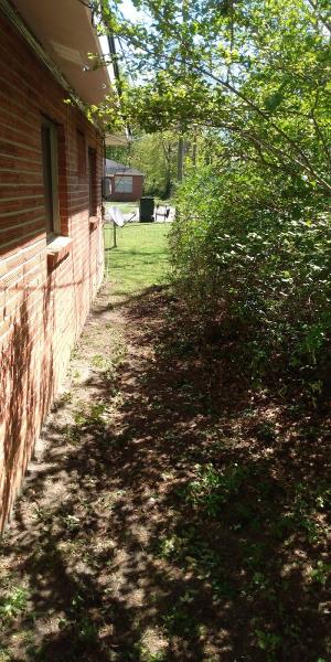 Curbside Pro Lawn Care & Landscaping