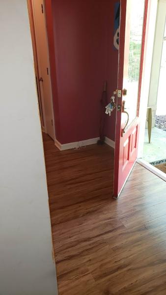 Elite Pest Control & Wildlife Removal Inc
