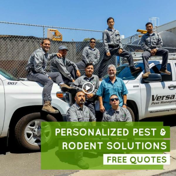 Versa-Tech Pest Management
