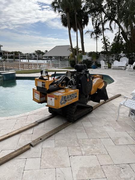 Grindem Out Tree Service & Stump Grinding