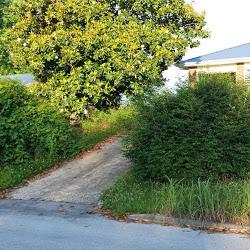 Lawn Care and More
