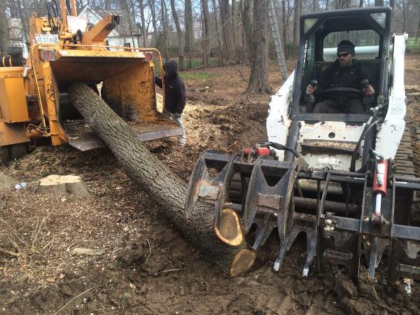 Bush Creek Tree Service