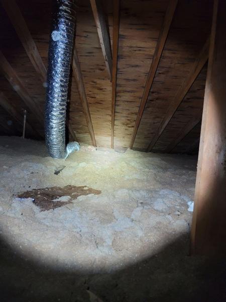 Unbiased Mold Inspections.in