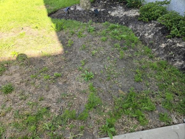 Greenwize Lawn Care