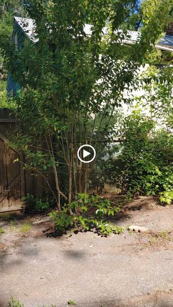 JTP Lawn Care and Junk Removal