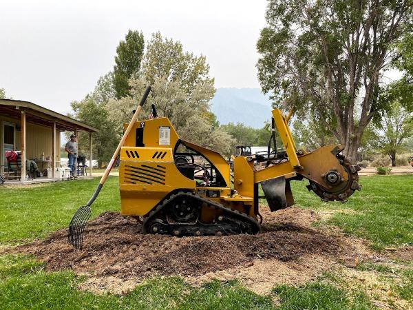 A Cut Above Tree Service