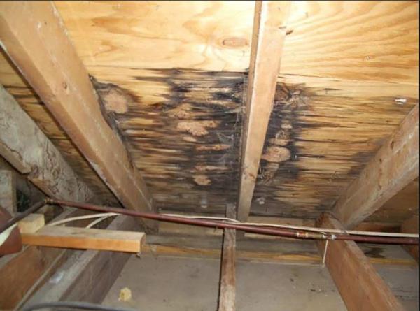 Boom Gen Home Inspections LLC