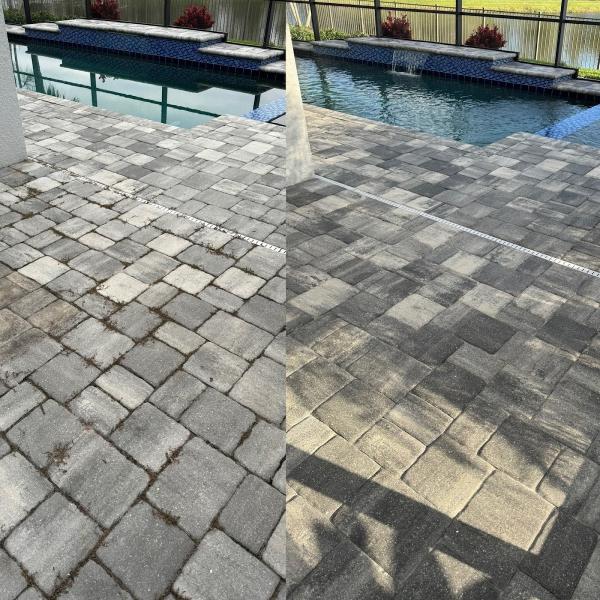 Stingray Sealing Services