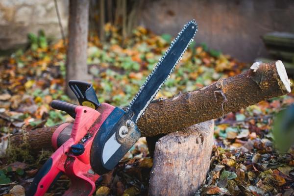 Benavides Tree Services