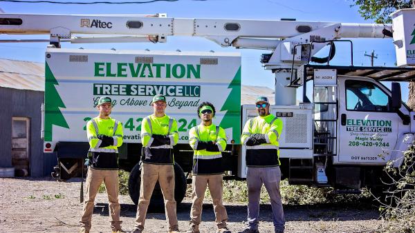Elevation Tree Service LLC