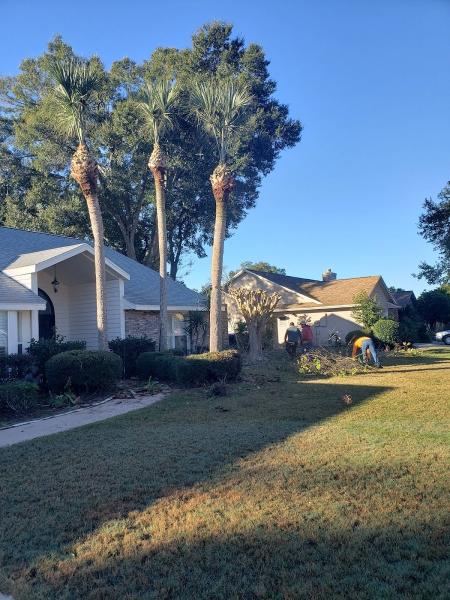 Whites Tree Services
