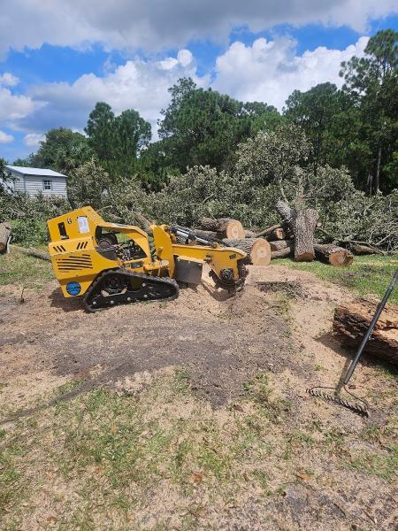 East Coast Arbor Pro Inc. Tree Service