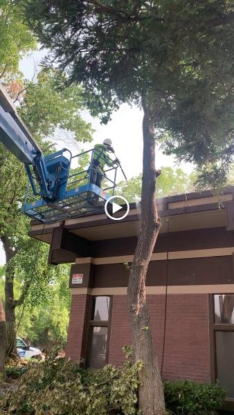 Elite Pressure Washing Services