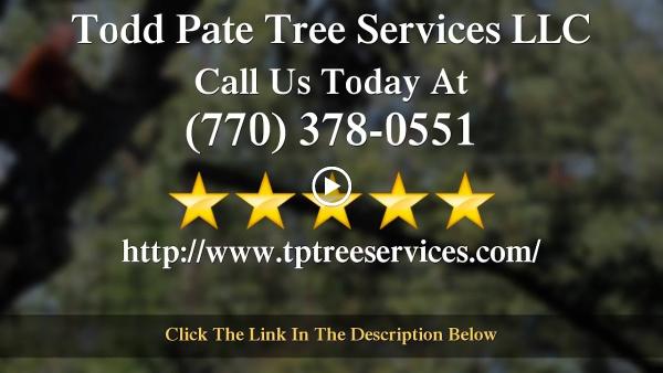 Todd Pate Tree Service