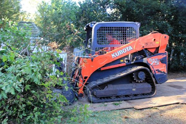 Todd Pate Tree Service