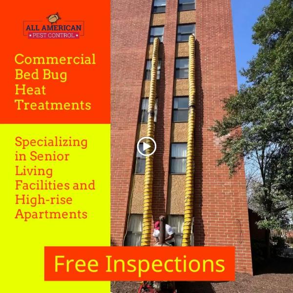 All American Pest Control
