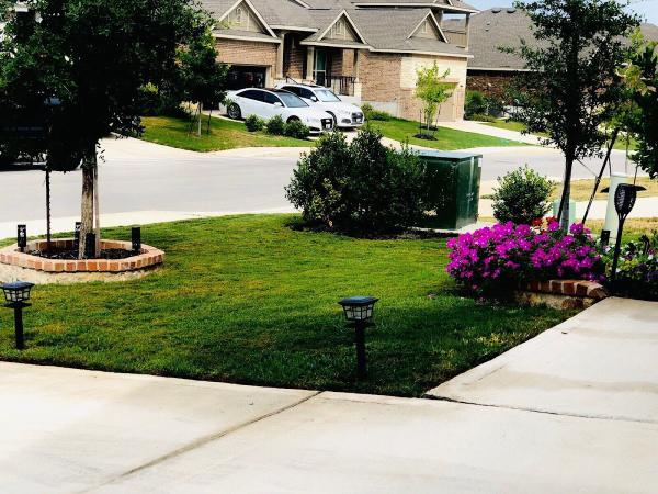 Soto's Lawn and Tree Service